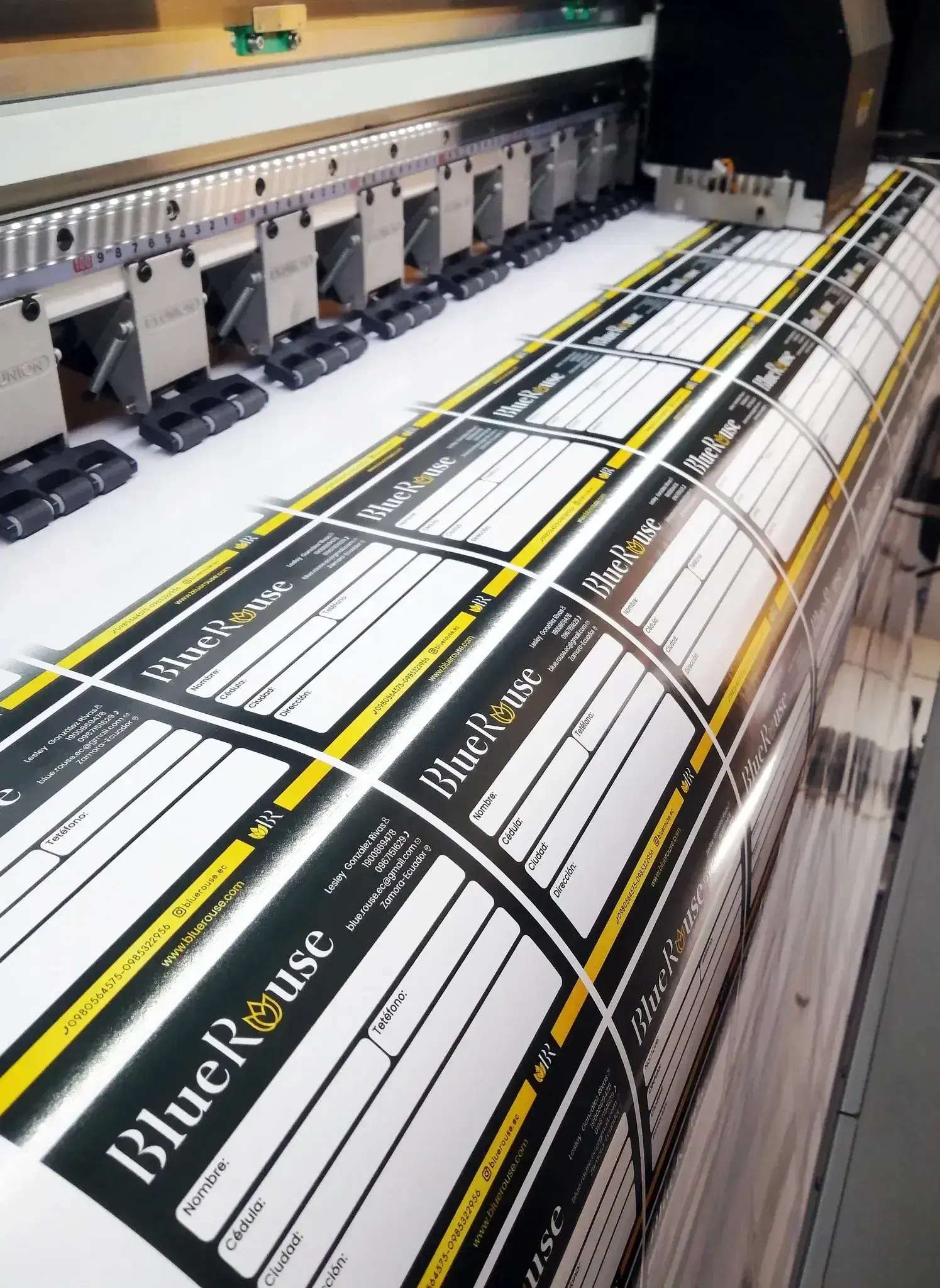 Plotter vinil 13